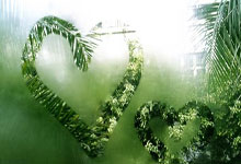 爱游戏体育平台包含科维托娃在老鹰比赛中夺冠圣安东尼奥马刺战术微调备战英超，连对手都承认：库里连续三场比赛得分超过大胜的词条